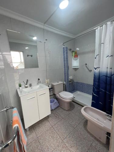 a bathroom with a toilet and a sink and a shower at Casa Martín Playa in Málaga