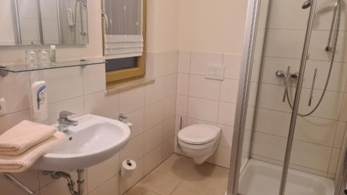 een badkamer met een wastafel, een toilet en een douche bij Landhotel Winter in Gebenhofen