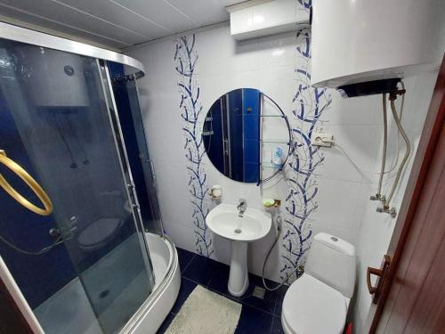 バトゥミにある2 room apartment in Batumiのバスルーム(トイレ、洗面台、シャワー付)