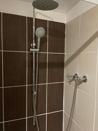 a shower with a shower head in a bathroom at maison aux volets bleus in Quévert