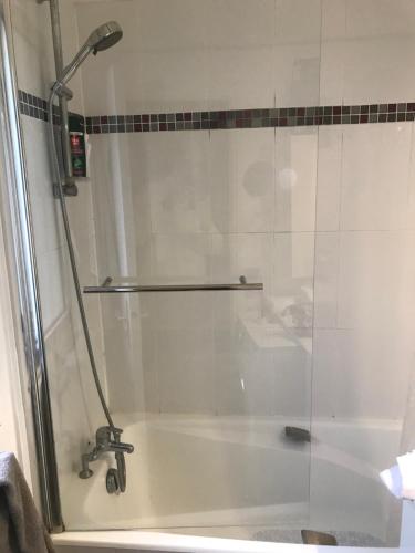 um chuveiro com uma porta de vidro na casa de banho em Paris Neuilly-sur-Seine Appartement bien situé em Neuilly-sur-Seine