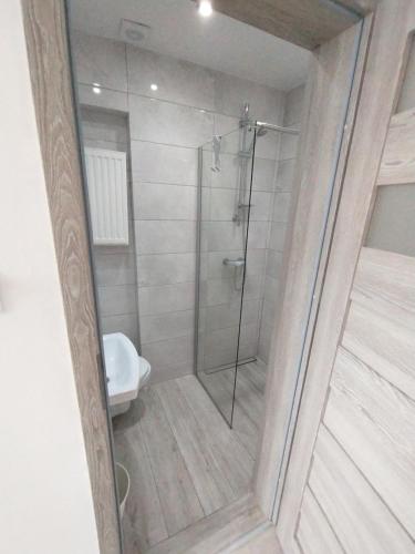 a bathroom with a glass shower with a toilet at Willa Karwia in Karwia