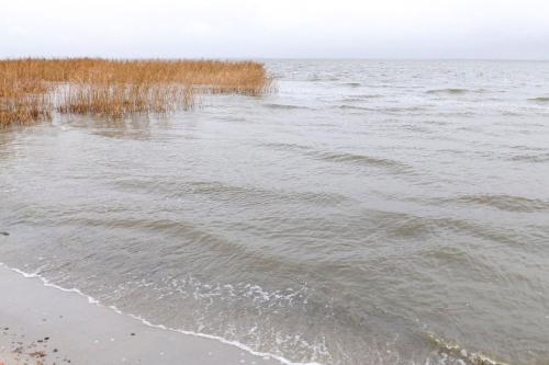 a view of the beach with grass and water at Ferienhaus am kleinen Hafen in Neuendorf