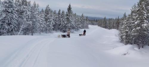 two people and two dogs in the snow with trees at Holiday home - Semesterhus Solnedgång in Blattniksele