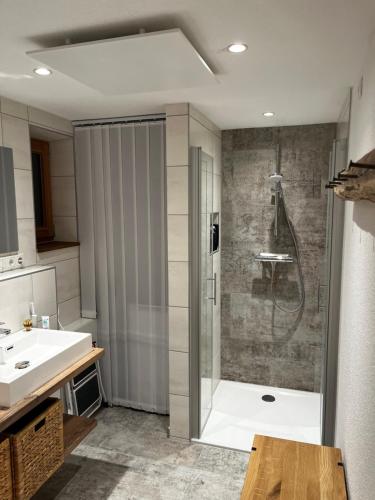 納瑟萊特的住宿－Tiroler Chalet mit toller Aussicht，带淋浴和盥洗盆的浴室