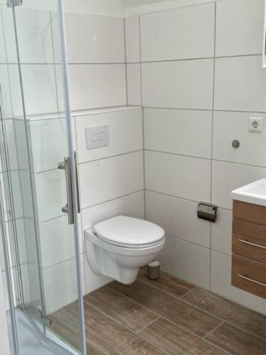 a bathroom with a toilet and a glass shower at Kälberstall in Zetel