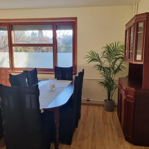 a dining room with a table and chairs and a plant at WILLA MIŁA in Stalowa Wola