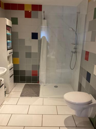 a bathroom with a shower and a toilet at Ferienwohnung Mitko in Radebeul