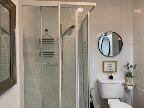 a bathroom with a shower and a toilet and a mirror at Follies Suites Ballyvoile in Dungarvan