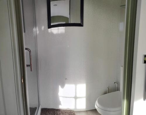 baño con aseo y espejo en la pared en Shepherds hut, en Weymouth