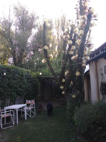 Casitas del Cerro – Photos 3