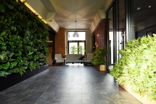 Κήπος έξω από το FOLGA - Hotel, Restauracja, Browar, SPA