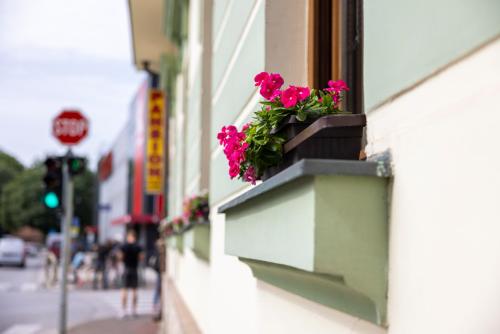 a window box with pink flowers on the side of a building at Pansion Maltar Varaždin in Varaždin