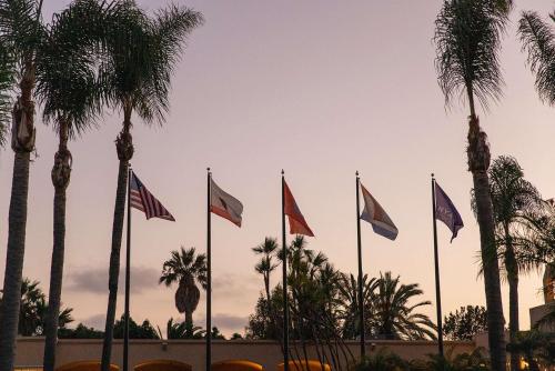 a group of flags in front of palm trees at Hyatt Regency Newport Beach in Newport Beach