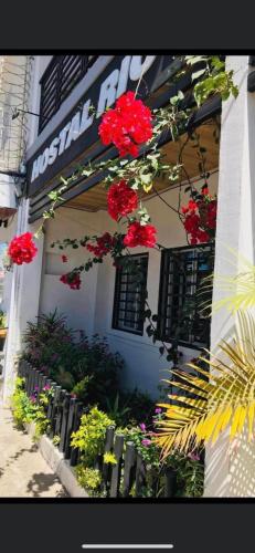 un ramo de flores rojas al lado de un edificio en Hostal Rio Piedra en Estelí