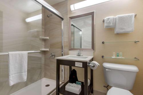 y baño con aseo, lavabo y ducha. en Quality Inn & Conference Centre Downtown Sudbury, en Sudbury