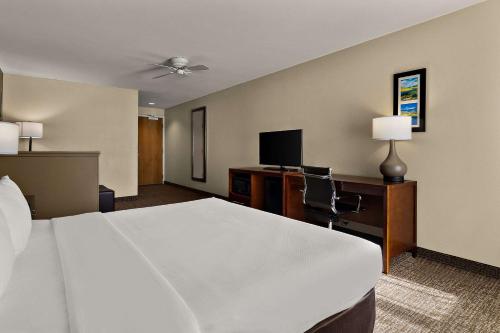 a hotel room with a large bed and a television at Comfort Inn & Suites Sequoia Kings Canyon in Three Rivers