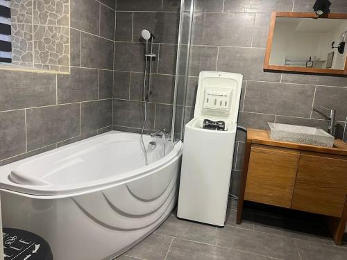 une salle de bain avec une baignoire et un lavabo dans l'établissement Le Tonneliers - bel appartement au centre Mulhouse, à Mulhouse