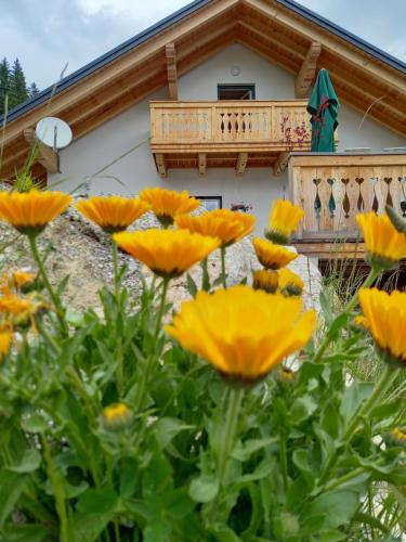 a bunch of yellow flowers in front of a house at Apartment Schönwetter in Großsölk