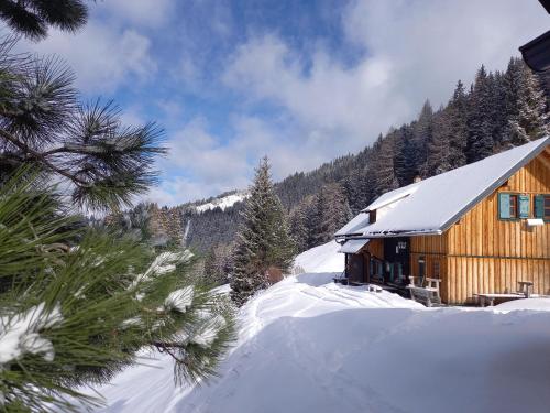 a log cabin in the snow with trees at Apartment Schönwetter in Großsölk
