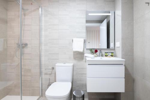 La salle de bains est pourvue de toilettes, d'un lavabo et d'une douche. dans l'établissement DormForYou Ciudad de las ciencias Terraza, à Valence