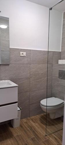 a bathroom with a toilet and a sink at Vila Silvana in Moieciu de Jos