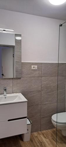 a bathroom with a sink and a toilet and a mirror at Vila Silvana in Moieciu de Jos