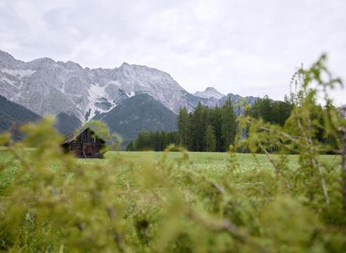 a barn in a field with mountains in the background at Haus Miriam in Mieming