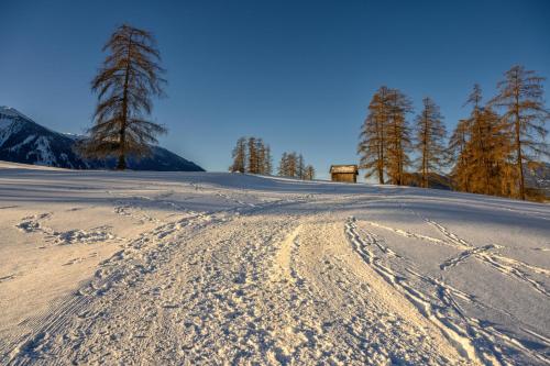 a snow covered field with footprints in the snow at Haus Miriam in Mieming