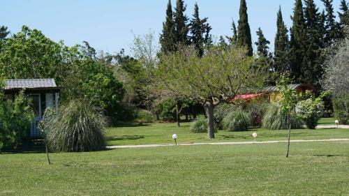 Κήπος έξω από το MAS MAURANE-Roulotte avec SPA privé aux portes d'ARLES