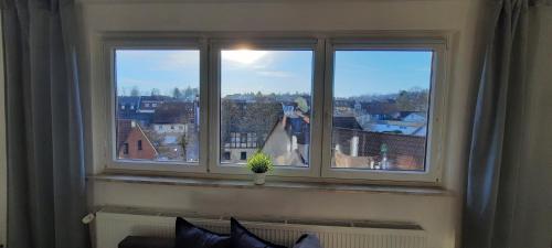 a window with a potted plant sitting on a ledge at Apartment Horizont in Bad Sachsa