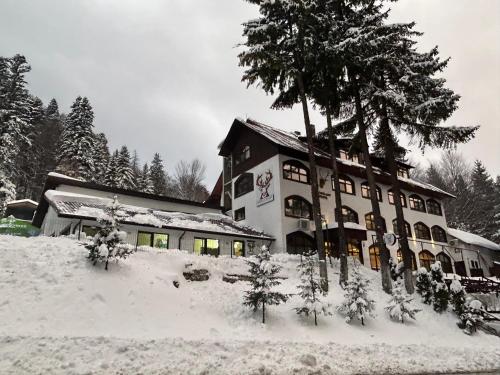 Hotel Cerbul Chalet