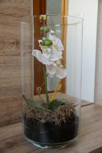 a glass vase with a white flower in it at Fewo "Elsa" Reichmannsdorf - Brötchenservice in Schlüsselfeld