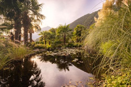 a pool of water with palm trees and a mountain at Nutzhof - Mediterran Flair Hotel in Lagundo