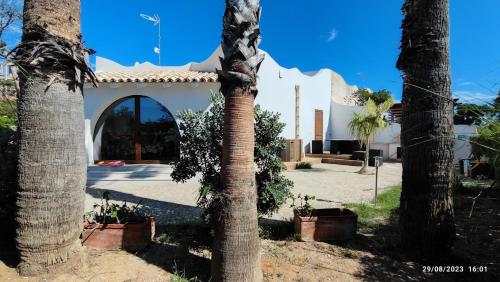 a group of palm trees in front of a building at Villa Oasi dune e mare in Campobello di Mazara
