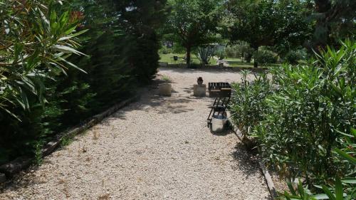 Κήπος έξω από το MAS MAURANE-Roulotte avec SPA privé aux portes d'ARLES