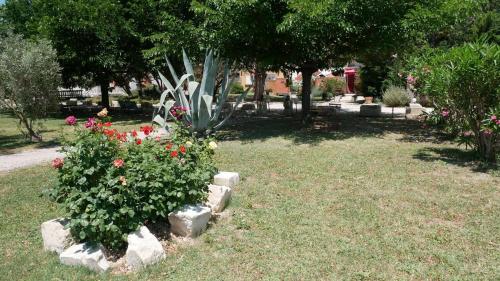 Κήπος έξω από το MAS MAURANE-Roulotte avec SPA privé aux portes d'ARLES