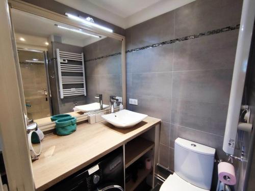 une salle de bain avec toilettes, lavabo et miroir dans l'établissement Appartement rénové au calme avec balcon, 1 chambre, coin nuit et parking - Proche Isola 2000 - FR-1-292-137, à Isola 2000