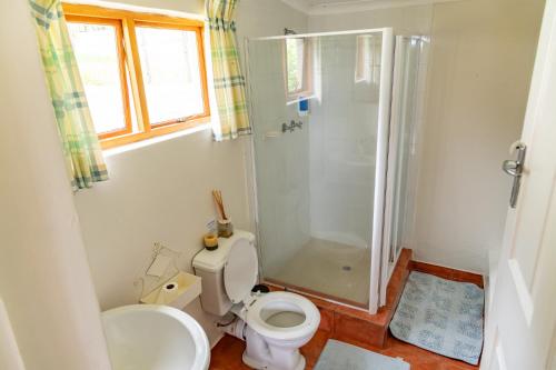 a bathroom with a toilet and a shower and a sink at Tafeni Farm Cottages in Swartberg