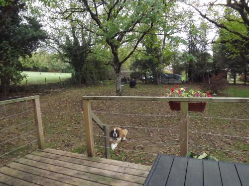 Bienvenue à La Noyeraie