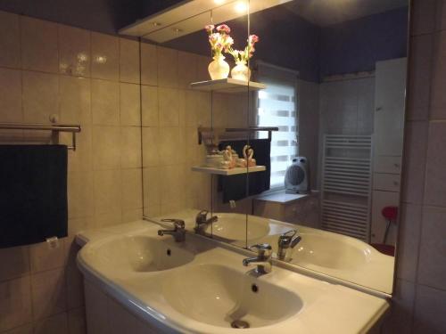 une salle de bain avec un lavabo et un miroir dans l'établissement Bienvenue à La Noyeraie, à Bio