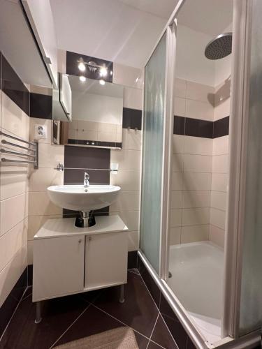 a bathroom with a sink and a shower at Private apartment 1km from center in Nivy