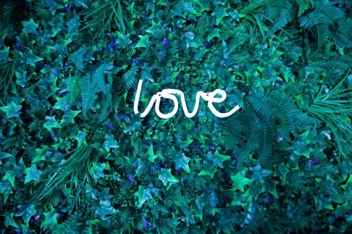 a pile of green plants with the word love at Loft and Studio and Love Room in Bourg-Saint-Christophe
