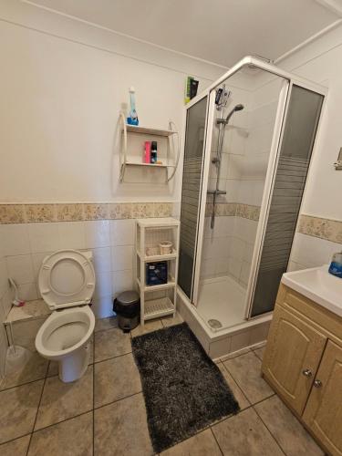 ein Bad mit einer Dusche und einem WC in der Unterkunft A Beautiful Large Room in Goodmayes