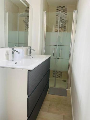 une salle de bain avec un lavabo et une douche en verre dans l'établissement Le logis de la lanterne*Centre Historique de Sarlat, à Sarlat-la-Canéda