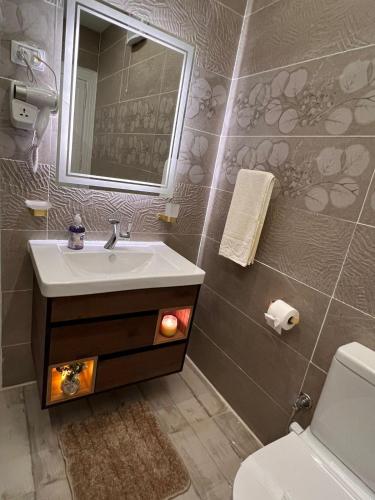 a bathroom with a sink and a mirror at downtown Family Suites in Cairo
