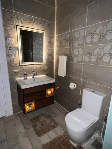 a bathroom with a toilet and a sink and a mirror at downtown Family Suites in Cairo