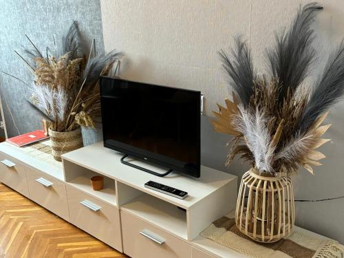 - une télévision sur une armoire blanche avec deux plantes dans l'établissement LE RAYON DE SOLEIL, à Froberville