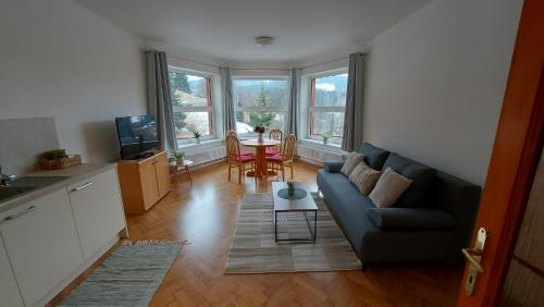 sala de estar con sofá y mesa en Villa Weber Apartments en Albrechtice v Jizerských horách