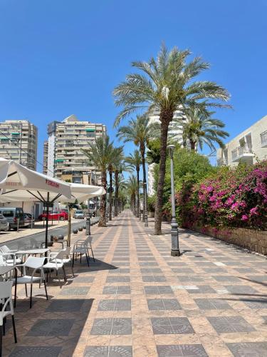 New Square Ibiza